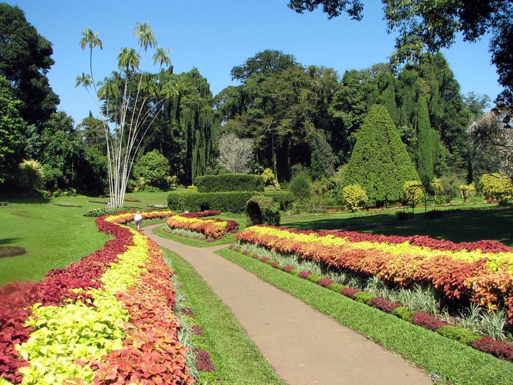 Kandy View Villa Экстерьер фото